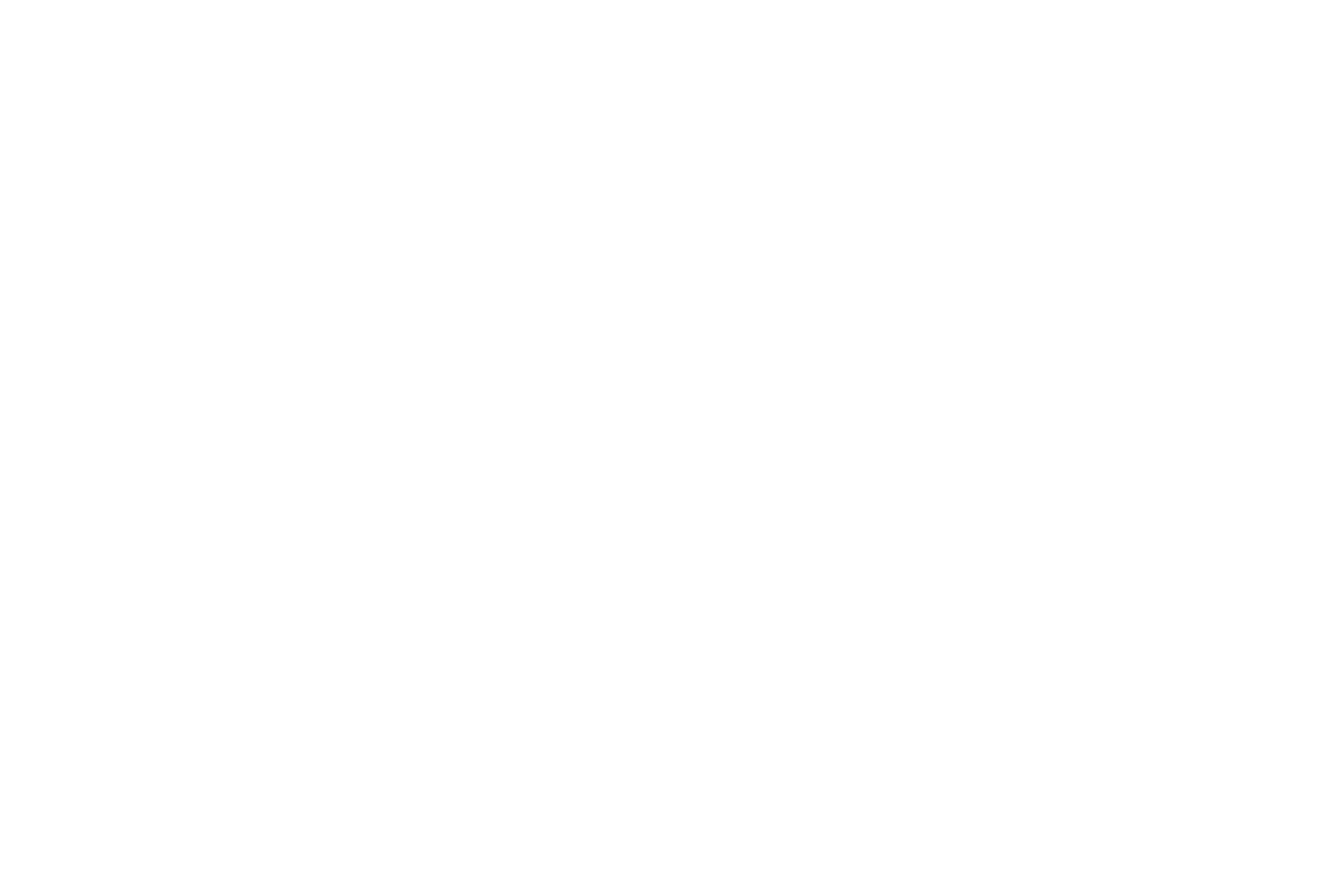 Logo Atena Studio